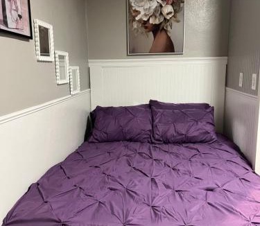 Little Rock Apartment | Taylor's Cozy Little Apartment Pets Welcome Two Beds