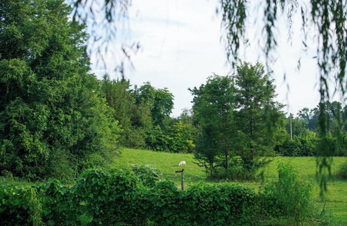 McMinnville Cabin | The Ewe's Nest - Farm Stay Near Hiking, Waterfalls, Kayaking & Caves
