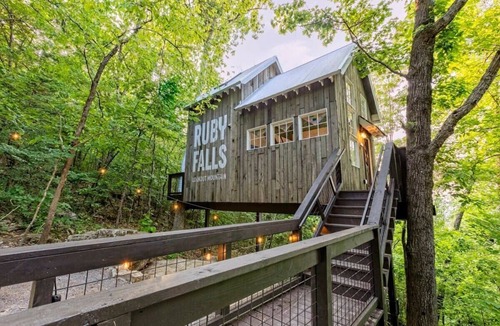 Chattanooga House | Treetop Hideaways - The Redbud Treehouse