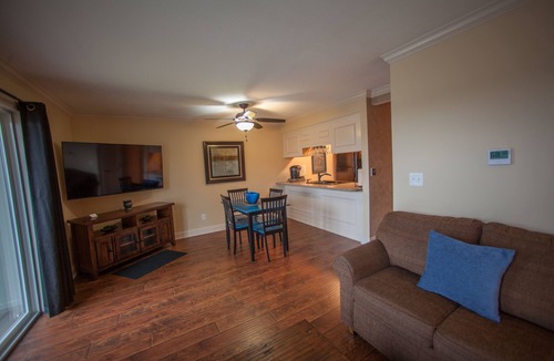 Table Rock Condo | Walk In Level - Beautiful/Clean/Recently Remodeled 1BD/1BA at Pointe Royale