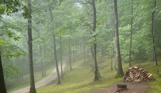 #5, Peaceful, low/no tech, river side cabin with AC/heat in Beattyville, Ky.