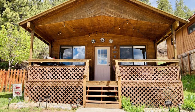 Bethany's Vallecito Lake Cabin #2