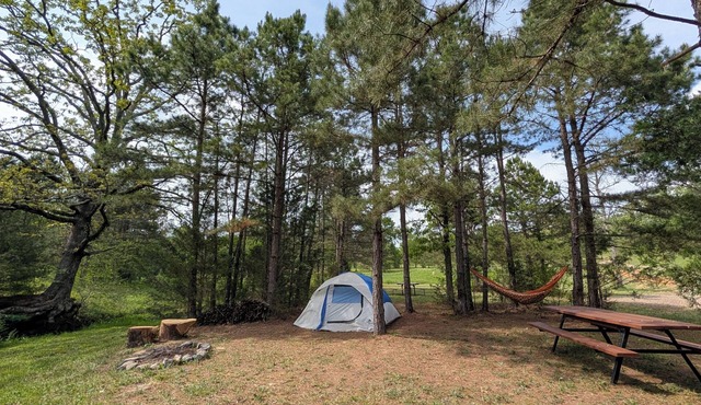Brookside Tent Site #5 at Ouachita Campground at Edendell