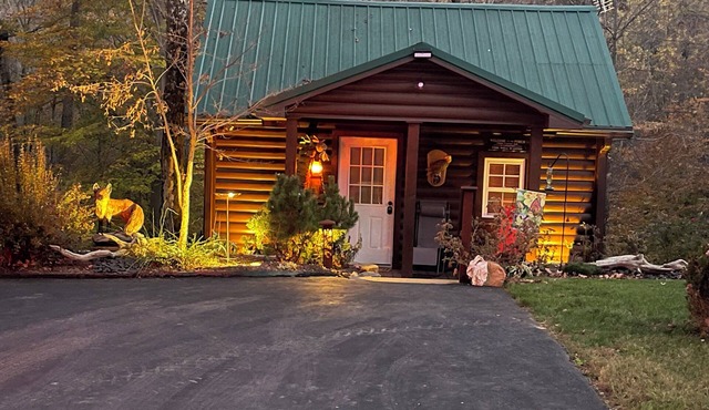 Charming 1 Bedroom cabin with sofa sleeper on 16 Acres, Quite and peacefuL