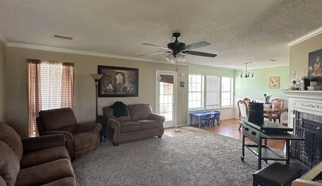 Country Living on 3 Acres!