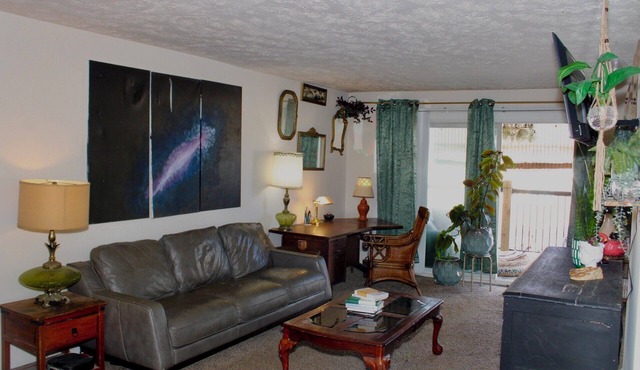 Cozy 1-bedroom apartment available for CWS