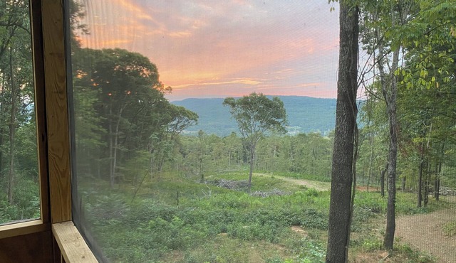 ~Dragonfly Cabin~ 20 private acres and Mountain View!