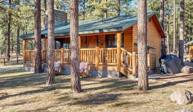 Elk Haven (Cabin 101)
