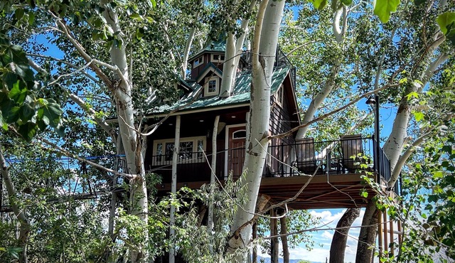 Fantasy Treehouse and Resort