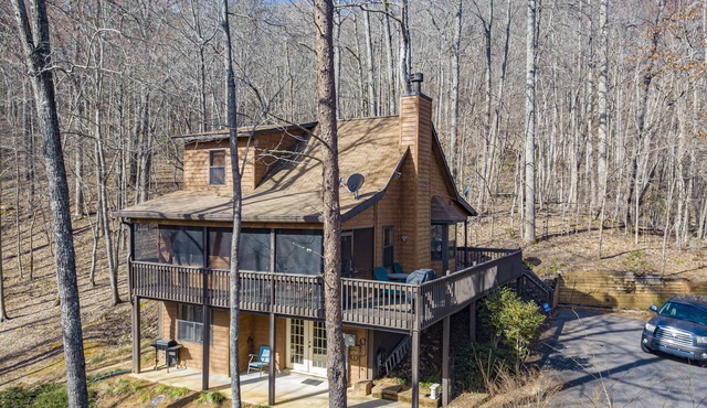 Little Bear Lodge Vacation Cabin with 2 bedrooms, Internet, and More