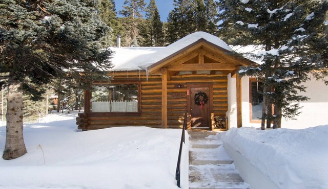 Pet-Friendly Cabin, close to Mountain Stream and Ski Return Trail
