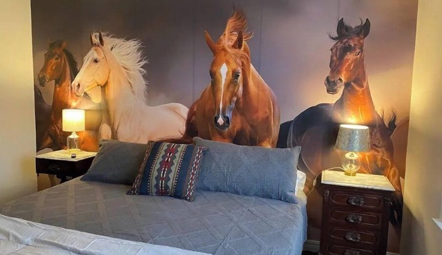 Rambler *pet friendly* garage private deck