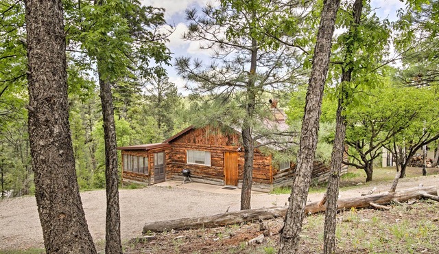 Ruidoso Log Cabin Near Skiing & Wildlife!