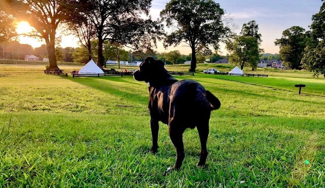Rustic Farmhouse Stay with Country Breakfast & Private Bath near Old Hickory Lake – Gallatin, Tennessee
