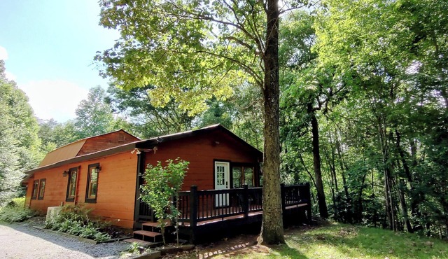 Secluded Blue Ridge Mountain Cabin near Ocoee River with Firepit