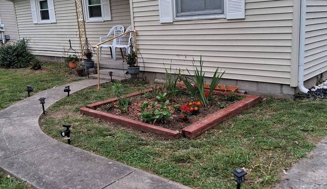 Small and Cozy 3-bedroom house with AC in enchanting Carbondale