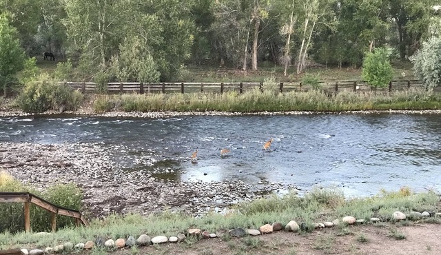 Spanish Ranch on the Arkansas River- enjoy the rushing river from the Hot tub!