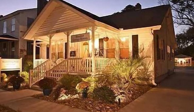 Starfish DOG-FRiENDLY in the Historic District