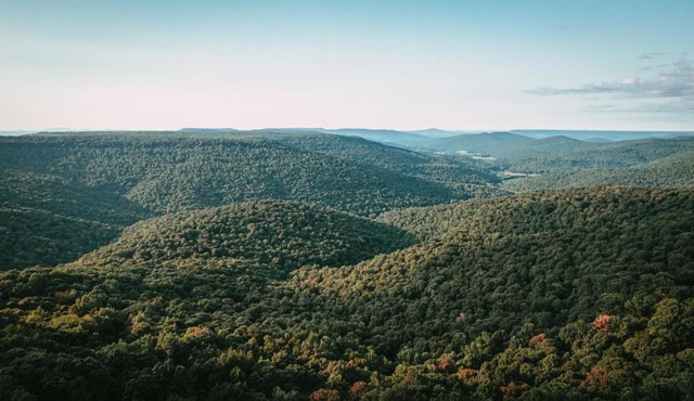 Stone's Mountain View