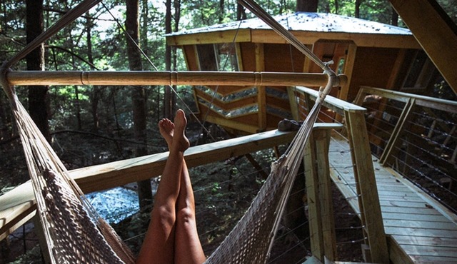 The Looking Glass: A Pair of Mirrored Treehouses