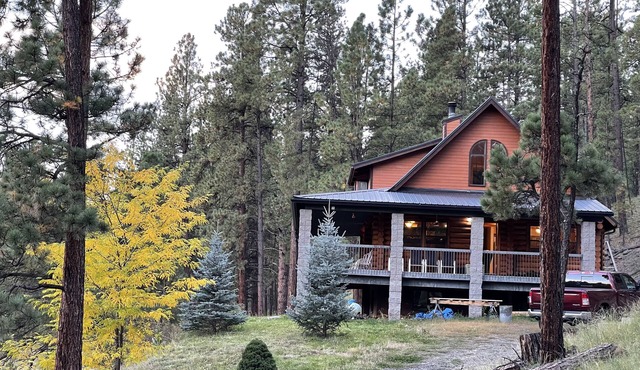The Wildflower Cabin in Greer