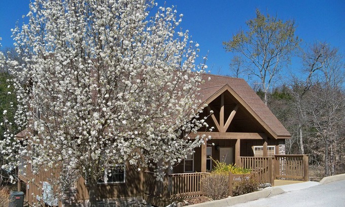 Reeds Spring Cabin | L078B, "Woodland Romance" 1Br Cabin, Pets, Secluded
