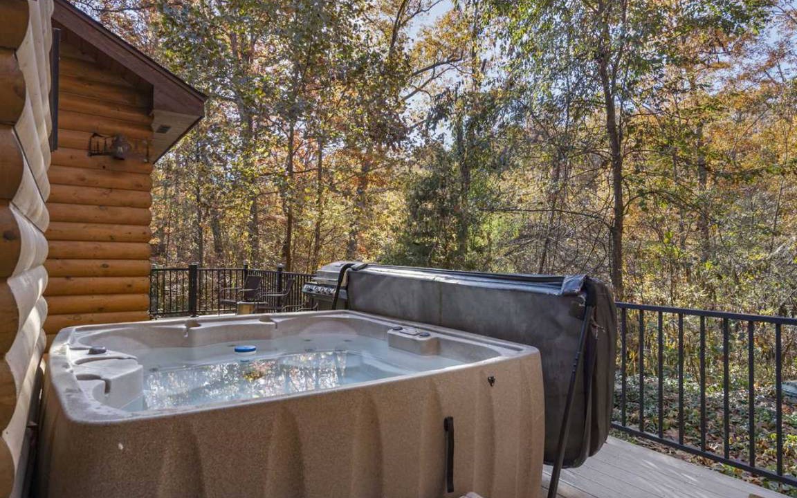 Photo of Others in Branson Cedars