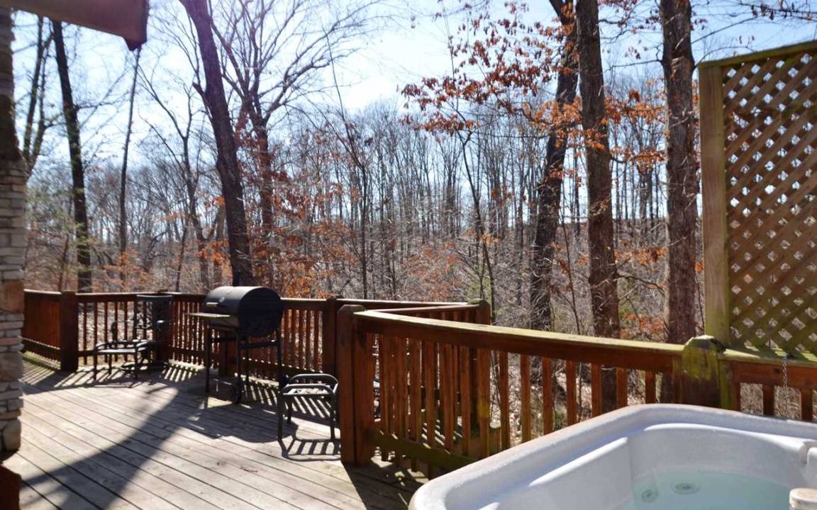 Photo of Others in Branson Cedars