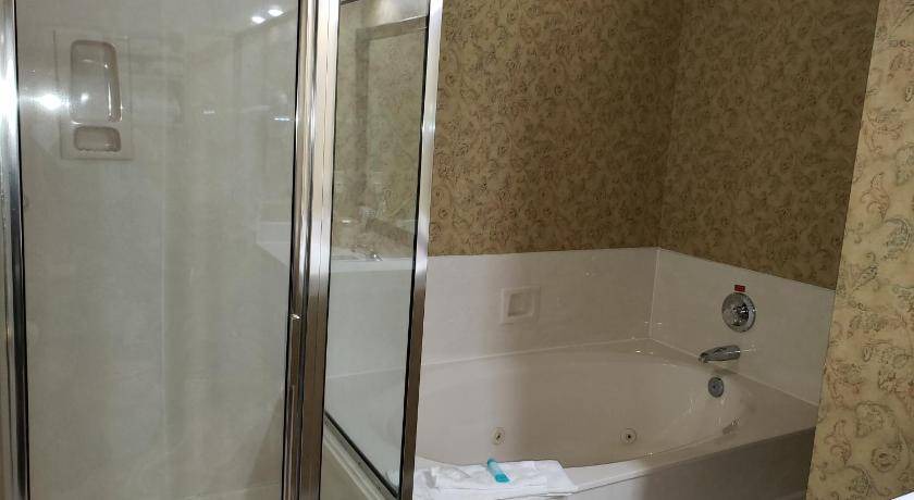 Photo of Bathroom in Branson Theater District