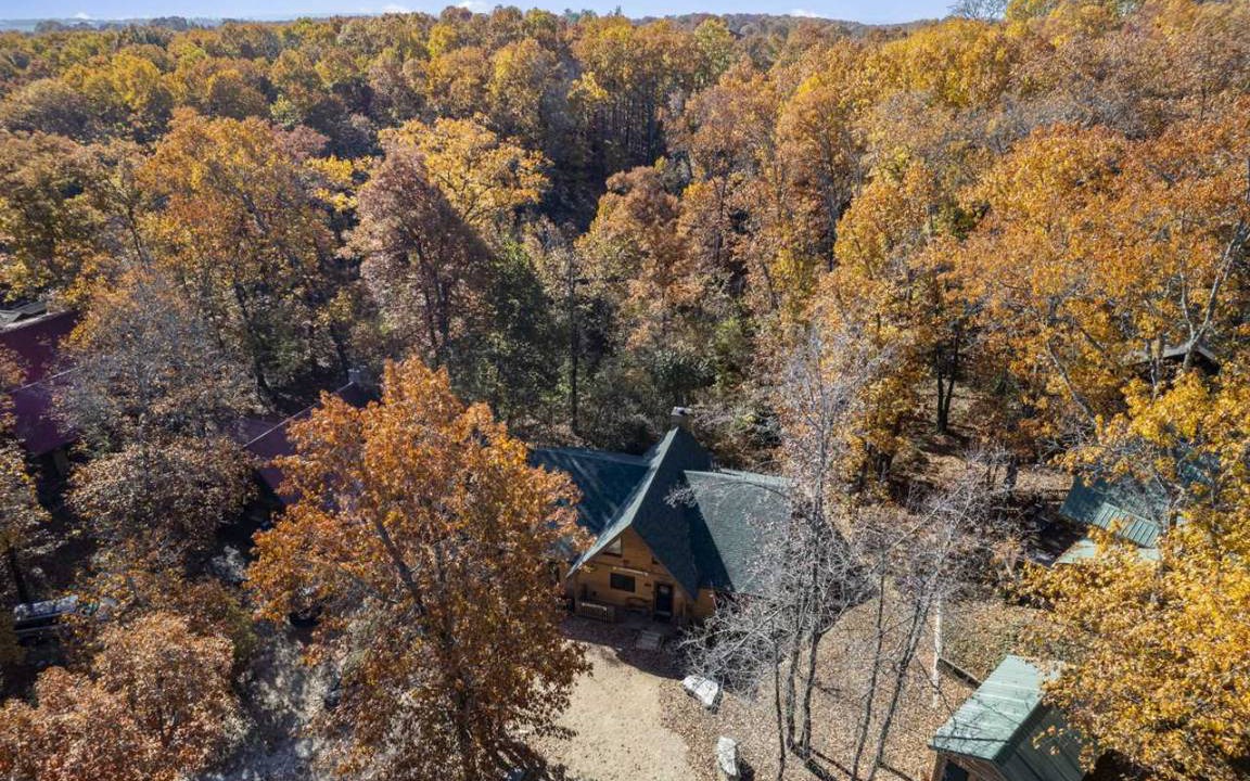 Photo of Others in Branson Cedars