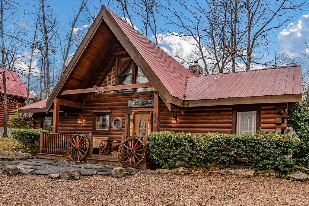 Photo of Others in Branson Cedars