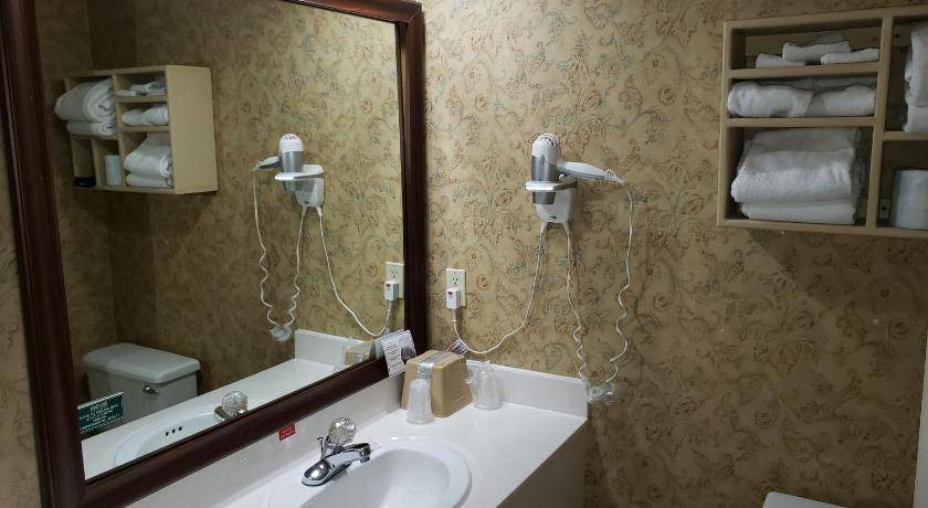 Photo of Bathroom in Branson Theater District