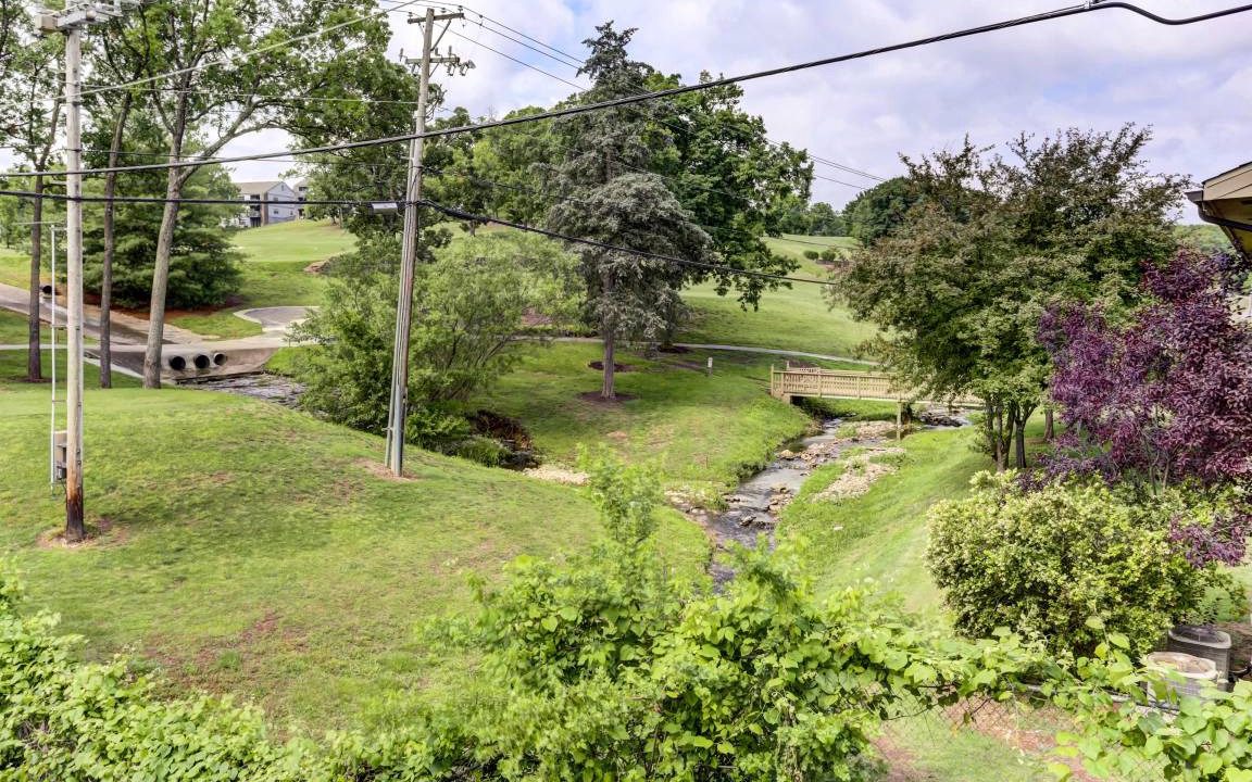 Photo of Others in Table Rock