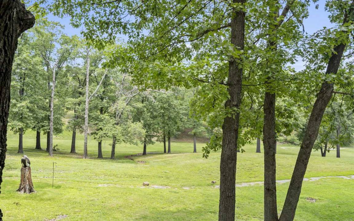 Photo of Others in Branson Cedars