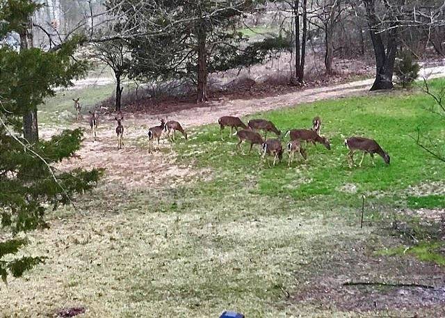 Photo of Outdoor in Ridgedale