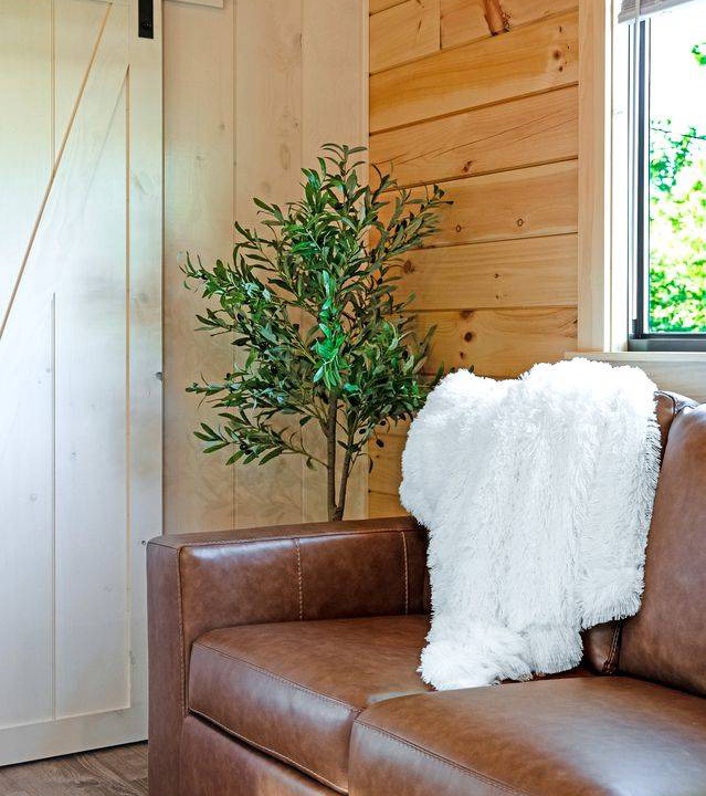 Photo of Livingroom in Bull Creek