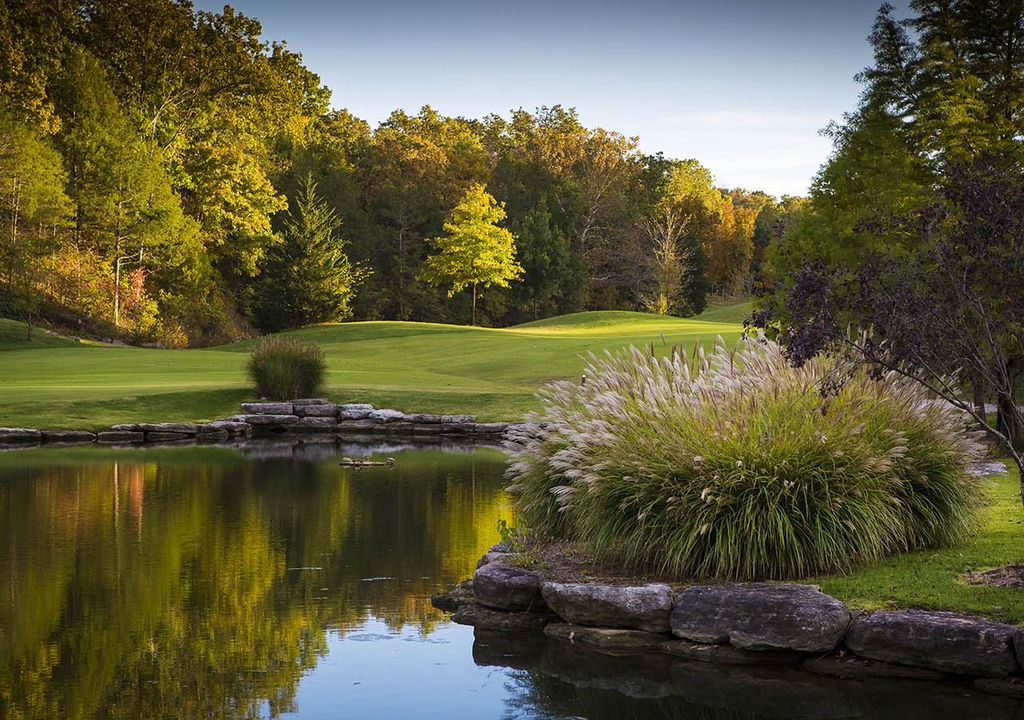 Photo of Outdoor in Reeds Spring