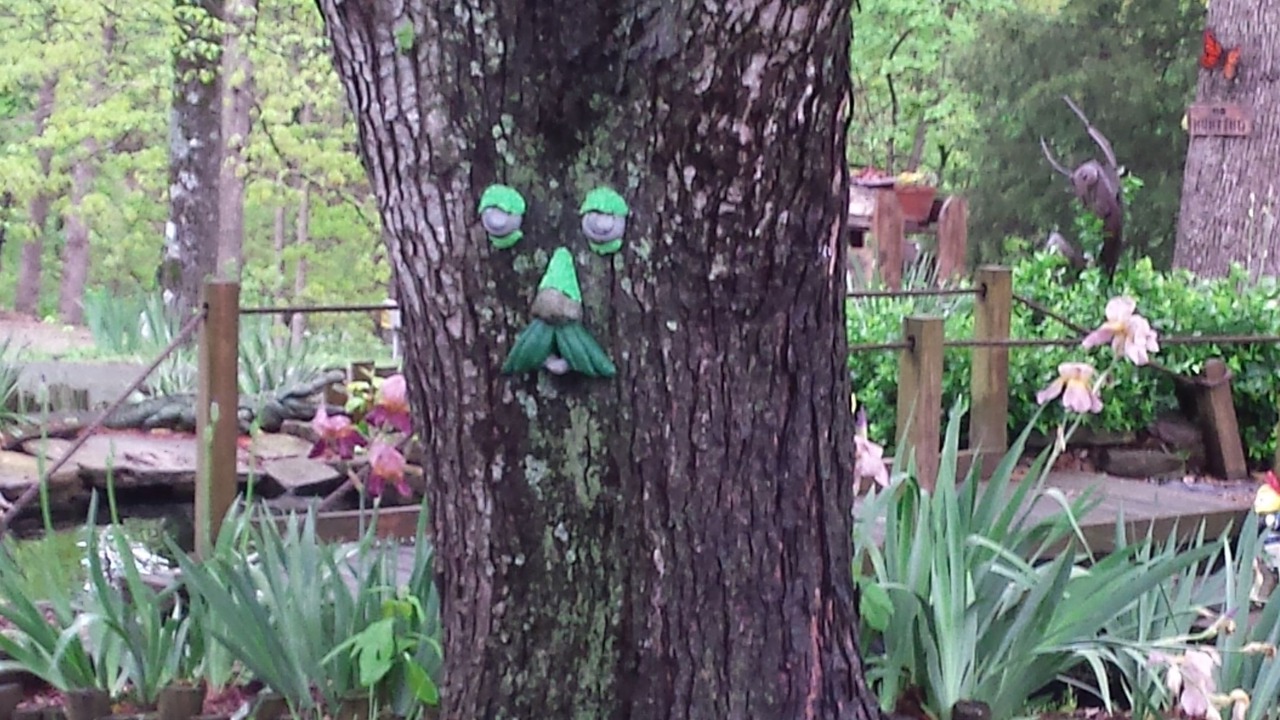 Photo of Outdoor in Branson West