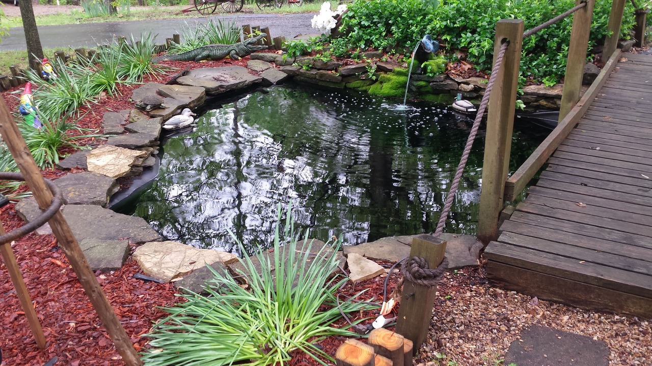 Photo of Outdoor in Branson West