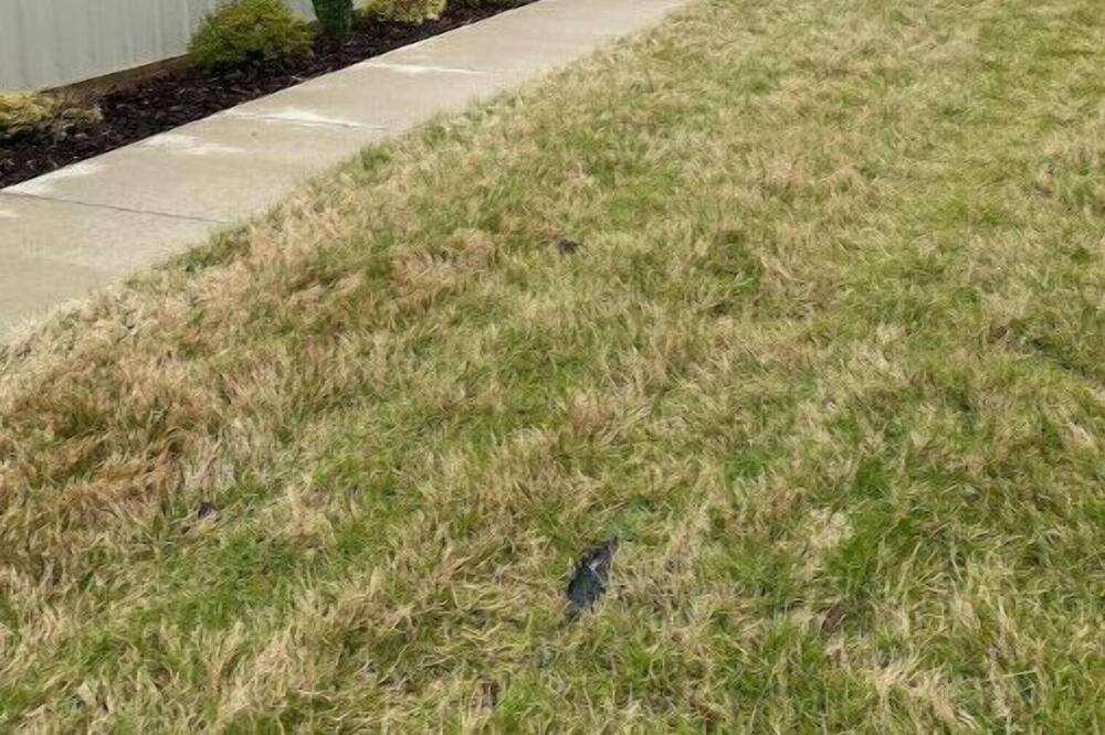 Photo of Outdoor in Covington