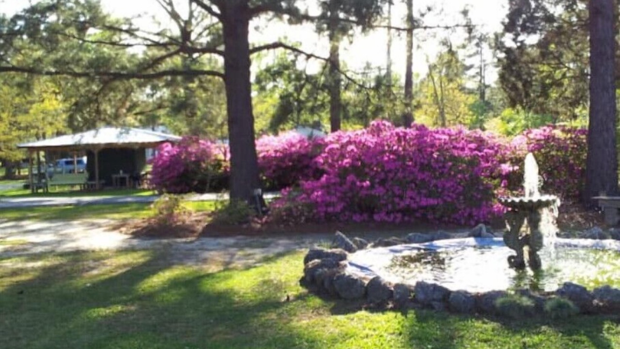 Photo of Outdoor in Hubert