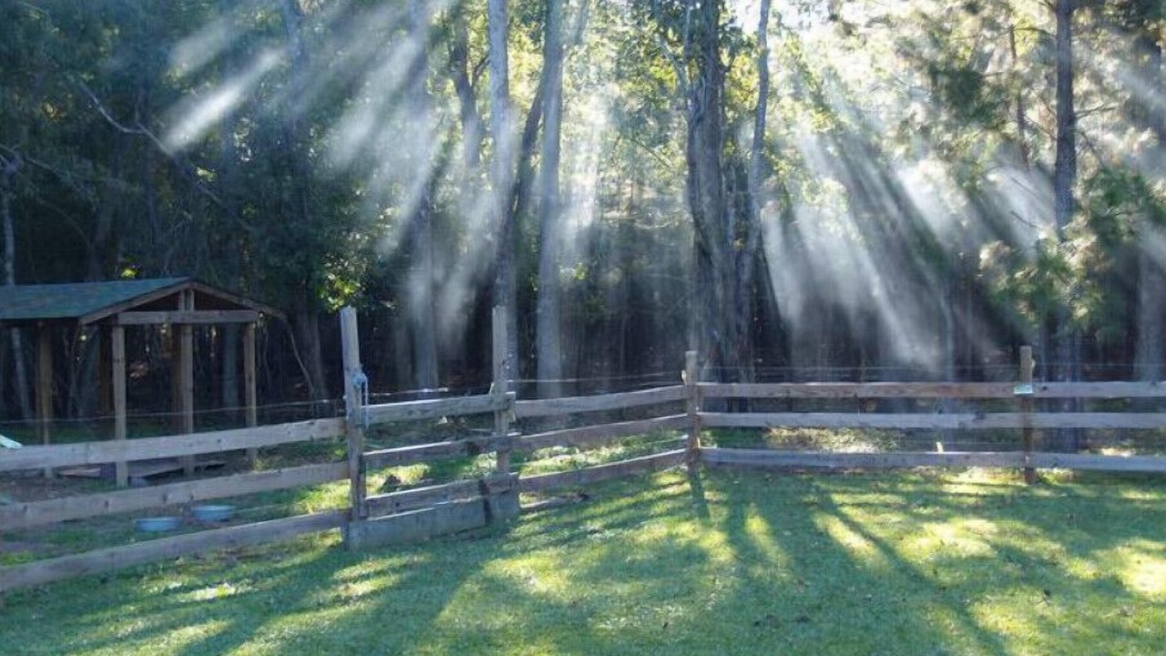 Photo of Outdoor in Hubert
