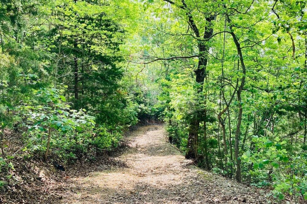 Photo of Outdoor in Notch Estates