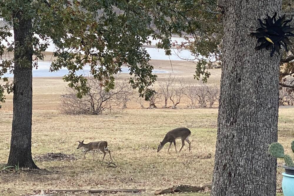 Photo of Others in Checotah