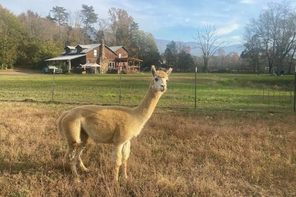 Photo of Outdoor in Benton