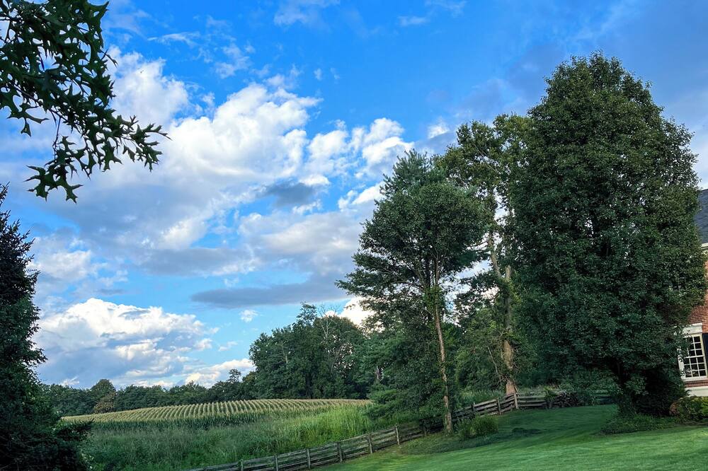 Photo of Outdoor in Prospect