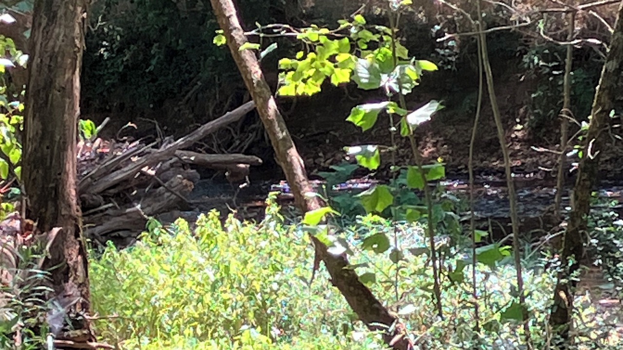 Photo of Outdoor in Peace Valley