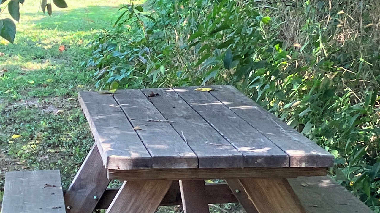 Photo of Outdoor in Peace Valley