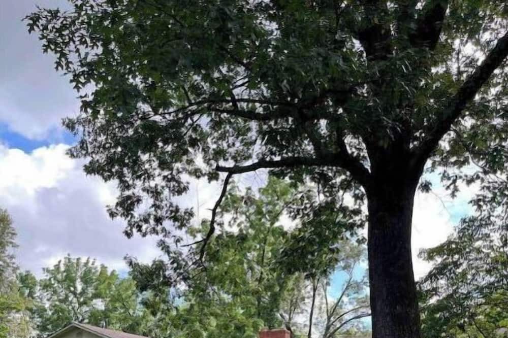 Photo of Outdoor in Radcliff