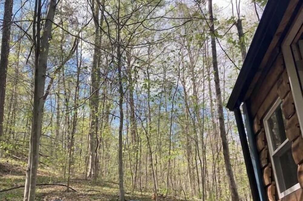Photo of Outdoor in Means